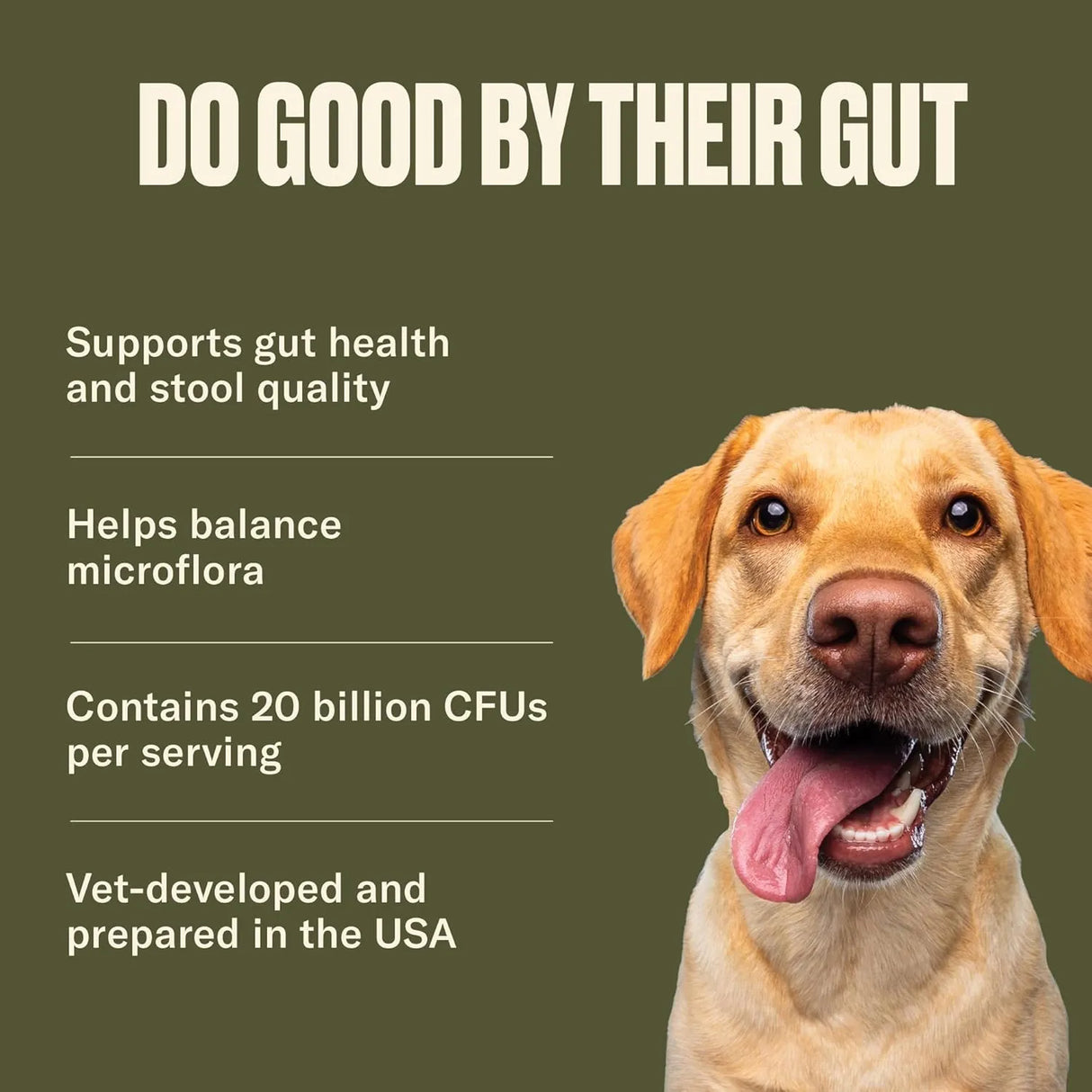 NOMNOMNOW - Nom Nom Dog GI-Targeted Probiotic Support 60Gr. - The Red Vitamin MX - Probióticos Para Perros - {{ shop.shopifyCountryName }}