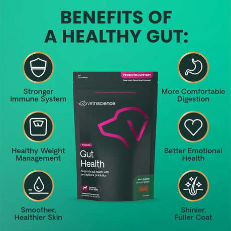 VETRISCIENCE - VetriScience Gut Health Chews Probiotic Everyday Digestive 120 Masticables - The Red Vitamin MX - Probióticos Para Perros - {{ shop.shopifyCountryName }}