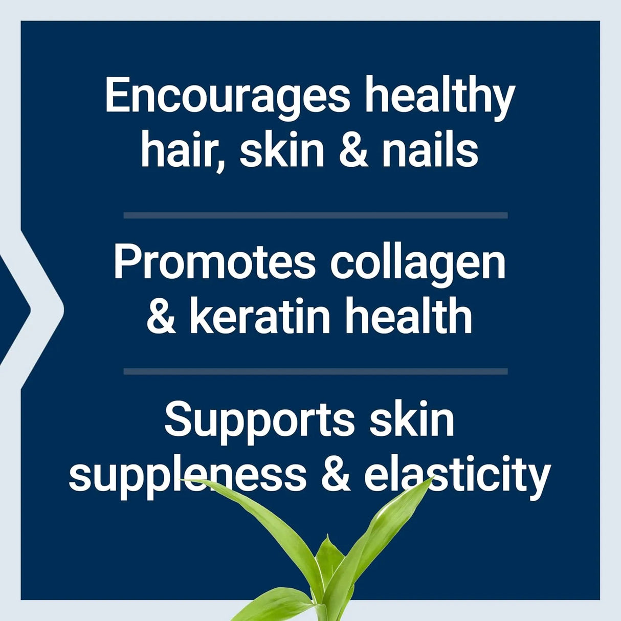 LIFE EXTENSION - Life Extension Hair Skin & Nails Collagen Plus Formula 120 Tabletas - The Red Vitamin MX - Suplementos Alimenticios - {{ shop.shopifyCountryName }}