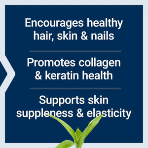LIFE EXTENSION - Life Extension Hair Skin & Nails Collagen Plus Formula 120 Tabletas - The Red Vitamin MX - Suplementos Alimenticios - {{ shop.shopifyCountryName }}
