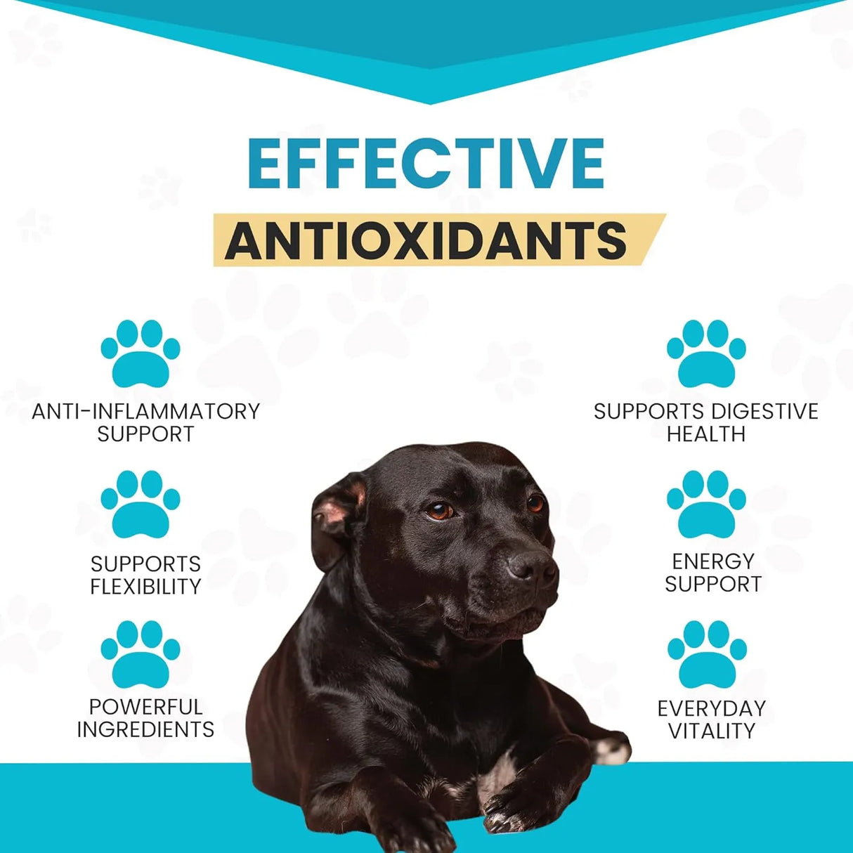 WANDERFOUND PETS - Wanderfound Pets 10-in-1 Dog Multivitamin 60 Tabletas Masticables - The Red Vitamin MX - Multivitamínicos Para Perros - {{ shop.shopifyCountryName }}
