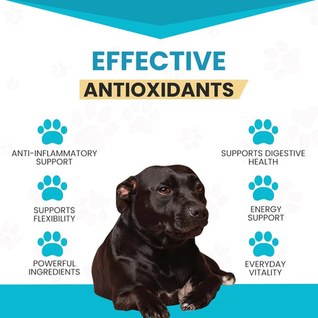 WANDERFOUND PETS - Wanderfound Pets 10-in-1 Dog Multivitamin 60 Tabletas Masticables - The Red Vitamin MX - Multivitamínicos Para Perros - {{ shop.shopifyCountryName }}