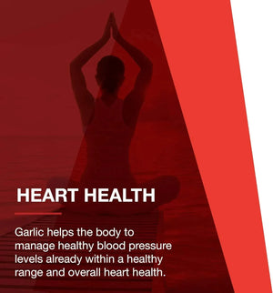 PROTOCOL FOR LIFE BALANCE - Protocol For Life Balance Garlic 5,000 90 Tabletas - The Red Vitamin MX - Suplementos Alimenticios - {{ shop.shopifyCountryName }}