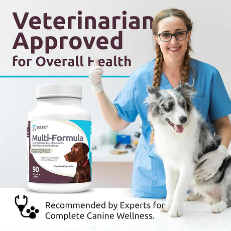 K9 SELECT - K9 Select Multi-Formula Dog Vitamins for Large Dogs Beef Flavor 90 Tabletas - The Red Vitamin MX - Multivitamínicos Para Perros - {{ shop.shopifyCountryName }}