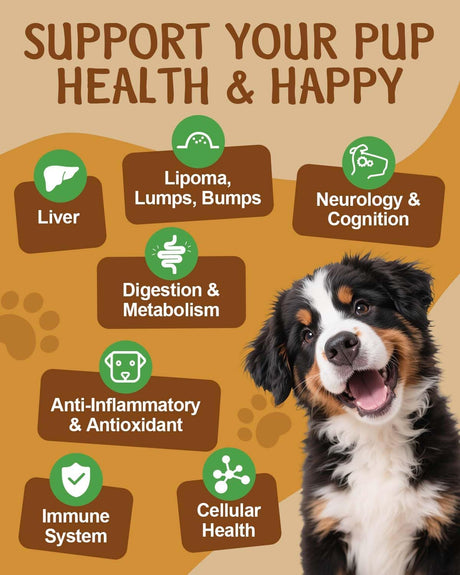 SANTKOL - SANTKOL Mushroom Supplement for Dogs 100 Servicios 100Gr. - The Red Vitamin MX - Suplementos Herbales Para Perros - {{ shop.shopifyCountryName }}