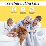 DIVINE CANINE - Divine Canine Dog Ear Cleaner 4 Fl.Oz. - The Red Vitamin MX - Cuidado Del Oído De Perros - {{ shop.shopifyCountryName }}