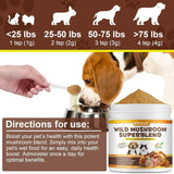OIMMAL - Oimmal Mushroom Powder for Dogs & Cats 120Gr. - The Red Vitamin MX - Suplementos Herbales Para Perros - {{ shop.shopifyCountryName }}