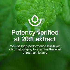 FRESH NUTRITION - Fresh Nutrition Lemon Balm Extract 90 Capsulas - The Red Vitamin MX - Suplementos Alimenticios - {{ shop.shopifyCountryName }}