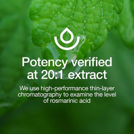 FRESH NUTRITION - Fresh Nutrition Lemon Balm Extract 90 Capsulas - The Red Vitamin MX - Suplementos Alimenticios - {{ shop.shopifyCountryName }}