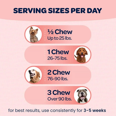 READY PET GO - Ready Pet Go! Hip and Joint Chews for Dogs 90 Masticables - The Red Vitamin MX - Cuidado De Cadera Y Articulaciones Para Perros - {{ shop.shopifyCountryName }}