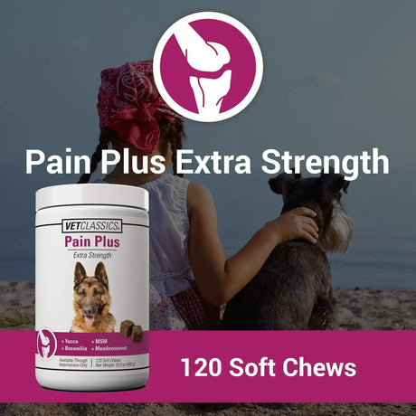 VET CLASSICS - Vet Classics Pain Plus Extra Strength Health Supplement for Dogs 120 Masticables - The Red Vitamin MX - Cuidado De Cadera Y Articulaciones Para Perros - {{ shop.shopifyCountryName }}