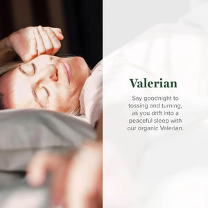 GLOBAL HEALING CENTER - Global Healing Organic Valerian Root Extract Liquid 2 Fl.Oz. - The Red Vitamin MX - Suplementos Alimenticios - {{ shop.shopifyCountryName }}