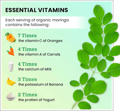 VITAHUMA - VitaHuma Organic Moringa 1200Mg. 90 Capsulas - The Red Vitamin MX - Suplementos Alimenticios - {{ shop.shopifyCountryName }}