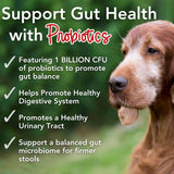 IHEARTDOGS - iHeartDogs 24-in-1 Senior Multivitamin Daily+ Total Health Support Powder 60 Servicios 120Gr. - The Red Vitamin MX - Multivitamínicos Para Perros - {{ shop.shopifyCountryName }}