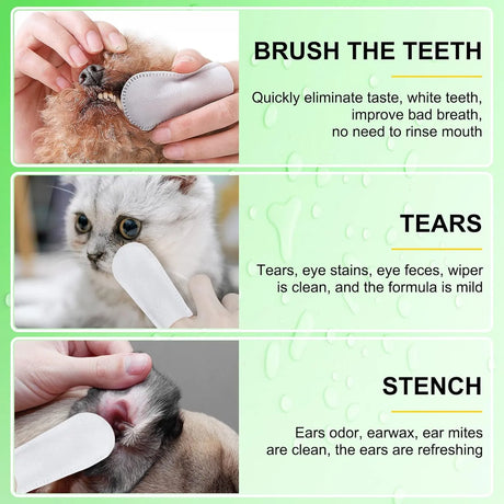 OIMMAL - OIMMAL Teeth Cleaning Wipes for Dogs & Cats 50 Toallitas - The Red Vitamin MX - Cuidado Dental Para Perros - {{ shop.shopifyCountryName }}