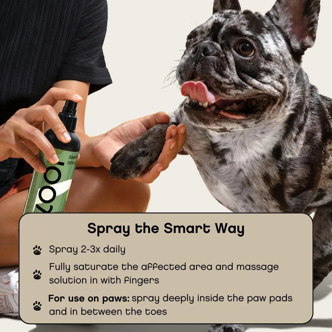 FLOOF - Floof Hot Spot Spray for Dogs 2.2 Fl.Oz. - The Red Vitamin MX - Remedios Para La Picazón De Perros - {{ shop.shopifyCountryName }}