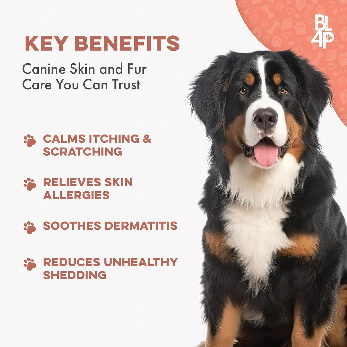 BestLife4Pets Natural Skin & Coat Supplement for Dogs 400 Tabletas