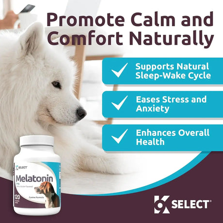 K9 SELECT - K9 Select Melatonin for Dogs Peanut Butter 3Mg. 120 Tabletas Masticables - The Red Vitamin MX - Relajantes Para Perros - {{ shop.shopifyCountryName }}