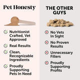 Pet Honesty Pumpkin Fiber Powder Supplement for Dogs 90 Servicios