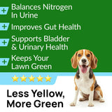 PAWFECTCHEW - PAWFECTCHEW Green Grass Dog Chews w/Probiotics 120 Masticables - The Red Vitamin MX - Salud De Tracto Urinario Para Perros - {{ shop.shopifyCountryName }}