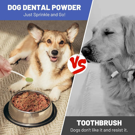 COLEAZE - ColEaze Dog Teeth Cleaning Powder 180Gr. - The Red Vitamin MX - Cuidado Dental Para Perros - {{ shop.shopifyCountryName }}