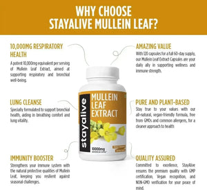 STAYALIVE - StayAlive Mullein Leaf 10,000Mg. 120 Capsulas - The Red Vitamin MX - Suplementos Alimenticios - {{ shop.shopifyCountryName }}