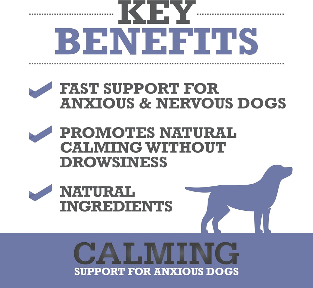 WINPRO Calming Chews for Dogs 60 Masticables