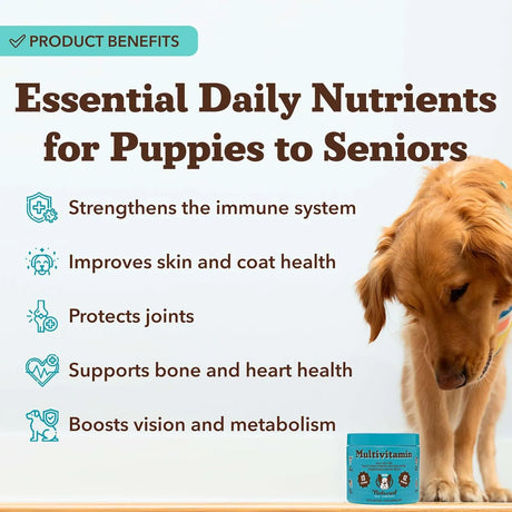 NATURAL DOG - Natural Dog Company Multivitamin Chews 180 Masticables - The Red Vitamin MX - Multivitamínicos Para Perros - {{ shop.shopifyCountryName }}