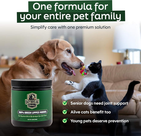 DAYBREAK NUTRITION - Daybreak Nutrition Pure Green Lipped Mussel Powder for Dogs and Cats 150Gr. - The Red Vitamin MX - Cuidado De Cadera Y Articulaciones Para Perros - {{ shop.shopifyCountryName }}