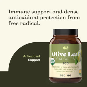 COMPLETE NATURAL PRODUCTS - Complete Natural Products Organic Olive Leaf 550Mg. 100 Capsulas - The Red Vitamin MX - Suplementos Alimenticios - {{ shop.shopifyCountryName }}