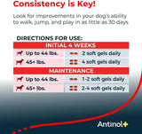 ANTINOL - Antinol Plus Mobility Hip and Joint Supplement for Dogs 90 Capsulas Blandas - The Red Vitamin MX - Cuidado De Cadera Y Articulaciones Para Perros - {{ shop.shopifyCountryName }}