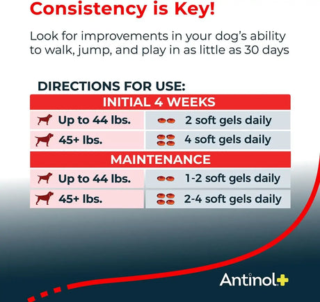 ANTINOL - Antinol Plus Mobility Hip and Joint Supplement for Dogs 90 Capsulas Blandas - The Red Vitamin MX - Cuidado De Cadera Y Articulaciones Para Perros - {{ shop.shopifyCountryName }}