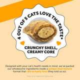 Pet Honesty Cat Immune Support Lysine 100Gr.