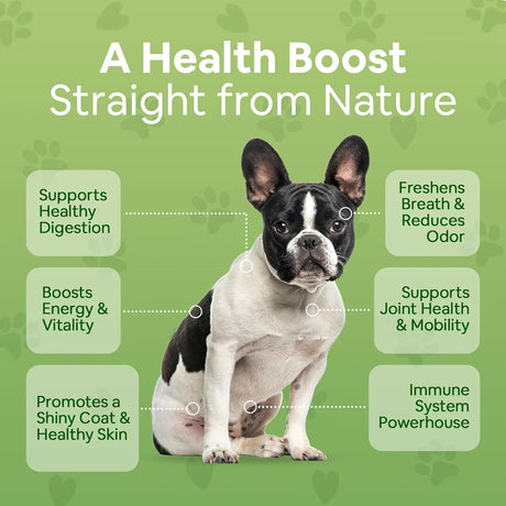 DOG GREENS - Dog Greens Superfood Multivitamin Powder 340Gr. 2 Pack - The Red Vitamin MX - Multivitamínicos Para Perros - {{ shop.shopifyCountryName }}