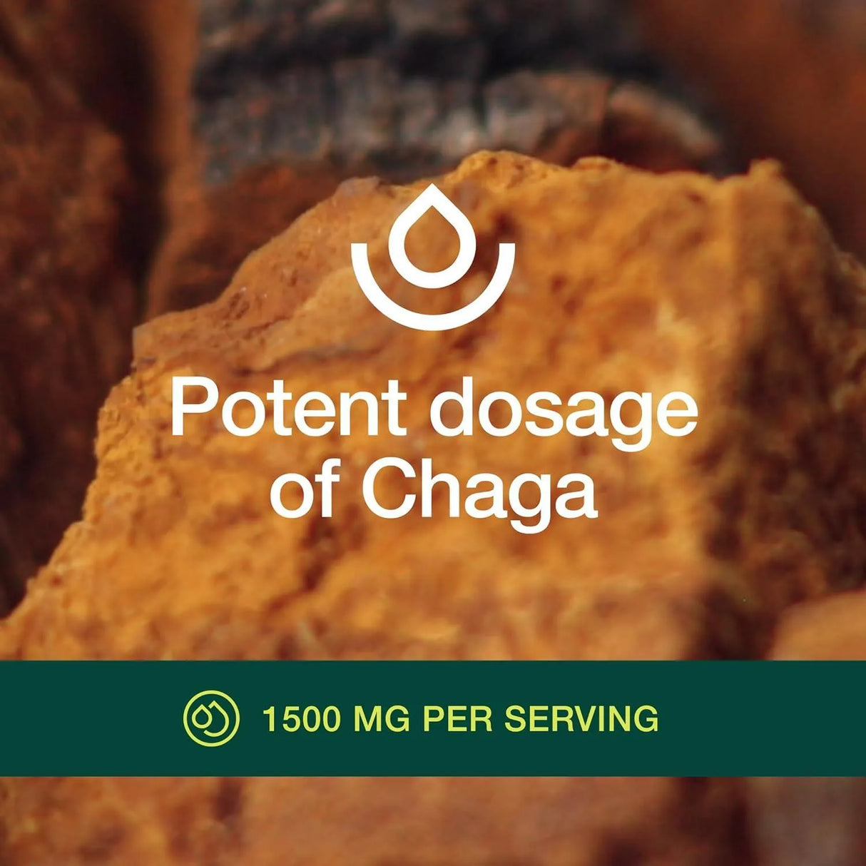 FRESH NUTRITION - Fresh Nutrition Organic Chaga Mushrooms 1500Mg. 90 Capsulas - The Red Vitamin MX - Suplementos Alimenticios - {{ shop.shopifyCountryName }}