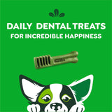 GREENIES - Greenies Original Petite Natural Dental Care Dog Treats 20 Piezas - The Red Vitamin MX - Cuidado Dental Para Perros - {{ shop.shopifyCountryName }}