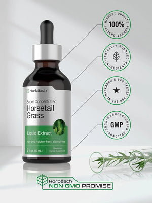 HORBAACH - Horbaach Horsetail Herb Liquid Extract 2 Fl.Oz. - The Red Vitamin MX - Suplementos Alimenticios - {{ shop.shopifyCountryName }}