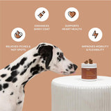 Reggie Evening Skin + Coat Supplements for Dogs 60 Masticables