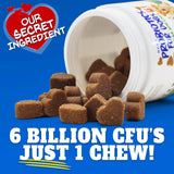 BEST PROBIOTICS FOR DOGS - BEST Probiotics for Dogs Digestive Health 30 Masticables - The Red Vitamin MX - Probióticos Para Perros - {{ shop.shopifyCountryName }}