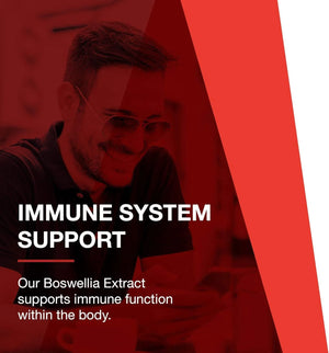 PROTOCOL FOR LIFE BALANCE - Protocol Boswellia Extract 500Mg. 90 Capsulas Blandas - The Red Vitamin MX - Suplementos Alimenticios - {{ shop.shopifyCountryName }}