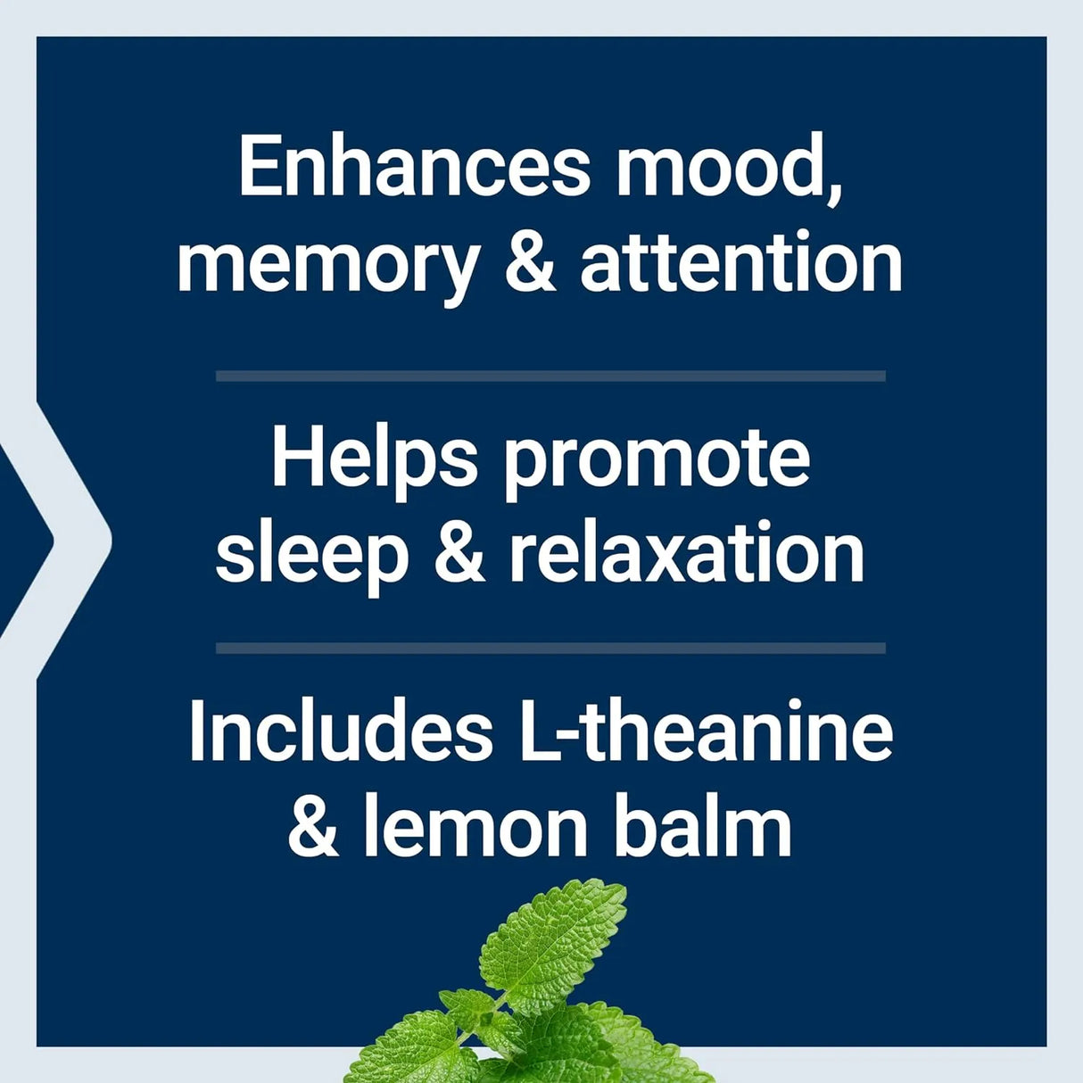 LIFE EXTENSION - Life Extension Enhanced Stress Relief Lemon Balm Extract 30 Capsulas - The Red Vitamin MX - Suplementos Alimenticios - {{ shop.shopifyCountryName }}
