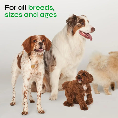 VETRICA - Vetrica Dog Urine Neutralizer for Lawn 130 Masticables - The Red Vitamin MX - Salud De Tracto Urinario Para Perros - {{ shop.shopifyCountryName }}