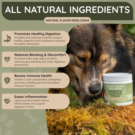 ASHER HOUSE WELLNESS - ASHER HOUSE WELLNESS Probiotics Digestive Chew for Dogs 120 Masticables - The Red Vitamin MX - Probióticos Para Perros - {{ shop.shopifyCountryName }}