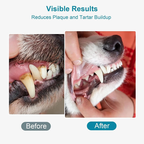 ELEVTC - ELEVTC Dog Teeth Cleaning Powder 100Gr. - The Red Vitamin MX - Cuidado Dental Para Perros - {{ shop.shopifyCountryName }}