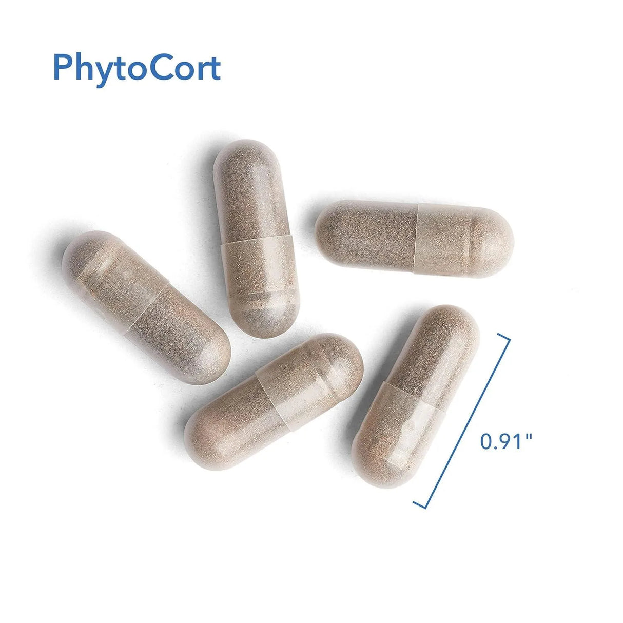 ALLERGY RESEARCH GROUP - Allergy Research Group PhytoCort Respiratory Support 120 Capsulas - The Red Vitamin MX - Suplementos Alimenticios - {{ shop.shopifyCountryName }}