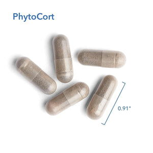 ALLERGY RESEARCH GROUP - Allergy Research Group PhytoCort Respiratory Support 120 Capsulas - The Red Vitamin MX - Suplementos Alimenticios - {{ shop.shopifyCountryName }}