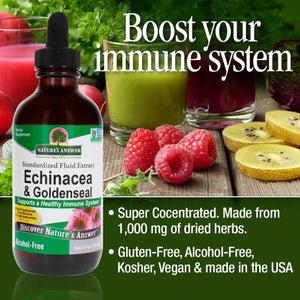 NATURE´S ANSWER - Nature's Answer Echinacea and Goldenseal 4 Fl.Oz. - The Red Vitamin MX - Suplementos Alimenticios - {{ shop.shopifyCountryName }}