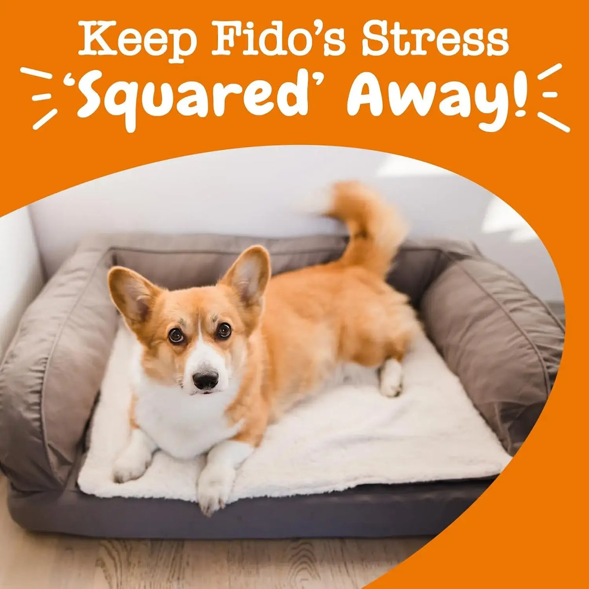 ZESTY PAWS - Zesty Paws Calming Squares Flavored Soft Chews 283Gr. - The Red Vitamin MX - Relajantes Para Perros - {{ shop.shopifyCountryName }}