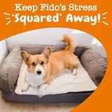 ZESTY PAWS - Zesty Paws Calming Squares Flavored Soft Chews 283Gr. - The Red Vitamin MX - Relajantes Para Perros - {{ shop.shopifyCountryName }}