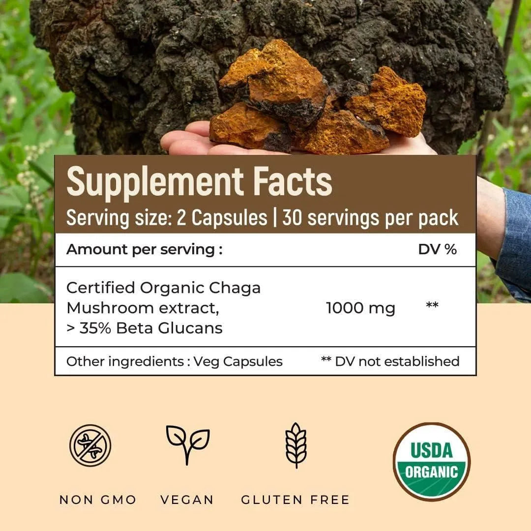 ROOTED - ROOTED Actives Siberian Chaga Mushroom Extract 60 Capsulas - The Red Vitamin MX - Suplementos Alimenticios - {{ shop.shopifyCountryName }}